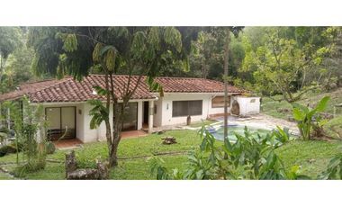 (V.I) FINCA LA ESPERANZA UBICADA ENTRE TITIRIBI Y AMAG