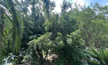 APARTAMENTO CON VISTA A ZONA VERDE