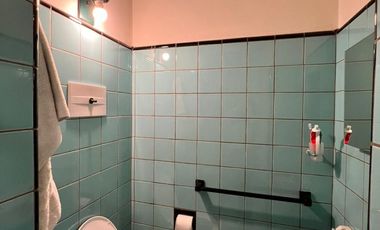 VENTA CASA Y 2 LOCALES COMERCIALES EN GODOY CRUZ
