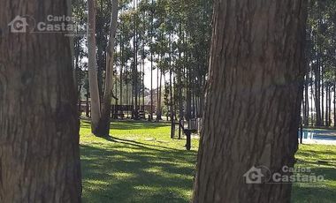 Hotel en Federación Entre Ríos