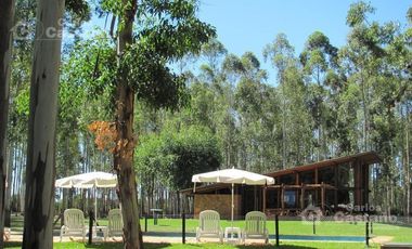 Hotel en Federación Entre Ríos