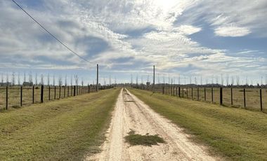 Descubre tu nueva casa en el campo en Zapiola, Lobos