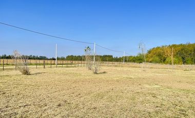 Descubre tu nueva casa en el campo en Zapiola, Lobos