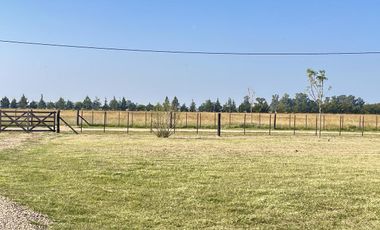 Descubre tu nueva casa en el campo en Zapiola, Lobos