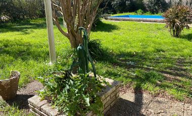 Quinta-Venta-20 de Junio-Refaccionar-Arboles