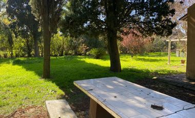 Quinta-Venta-20 de Junio-Refaccionar-Arboles