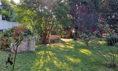 Quinta-Venta-20 de Junio-Refaccionar-Arboles