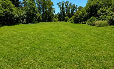 Terreno - Barrio Los Pinos