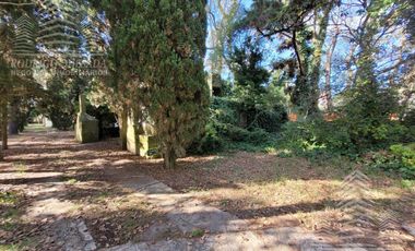 CASA DE ÉPOCA SOBRE DOBLE LOTE DE 402 MTS2 – AMPLIO PARQUE ARBOLADO