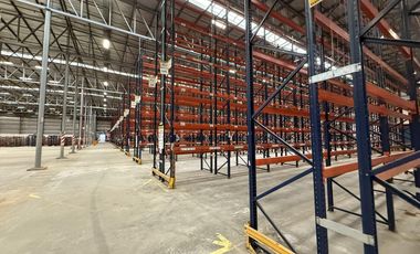 Depósito en Alquiler con racks -15.500m2 - Garin