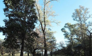 Terreno en Almahue
