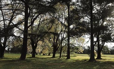 Terreno en Almahue
