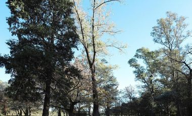 Terreno en Almahue