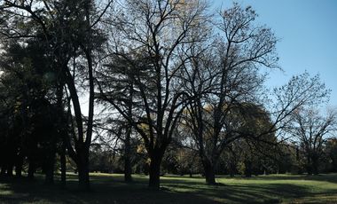 Terreno en Almahue