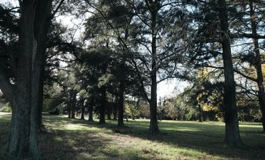 Terreno en Almahue