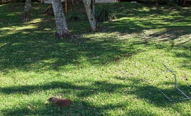EN VENTA chacra con cabañas en Dos de Mayo, Misiones