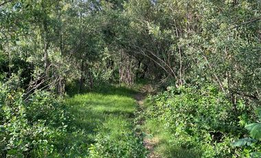 TERRENO EN VENTA SOBRE COSTA RIO PARANA