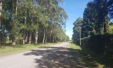 Venta Lote de 4125 m2 en CHACRAS DEL LAGO La Reja