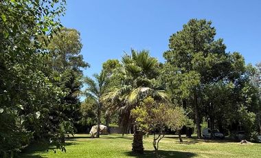 VENTA - CASA QUINTA EN PILAR 2480M2 - PERMUTA