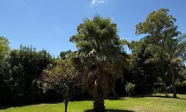 VENTA - CASA QUINTA EN PILAR 2480M2 - PERMUTA