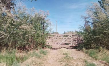 HECTAREA EN ALQUILER-PLOTTIER PARQUE INDUSTRIAL