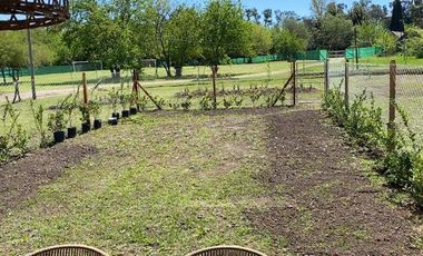 Casa  en Venta 4 ambientes con Jardín en Decs Tortugas
