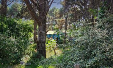 Calle Orquideas entre Av. 1 y 2 Nro 36 - Casa a desarrollar con muy amplio lote a metros del mar en Costa del Este