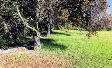 Casa en Venta en lonquen norte