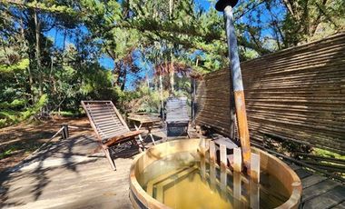Hotel Lodge/Punta de Lobos!