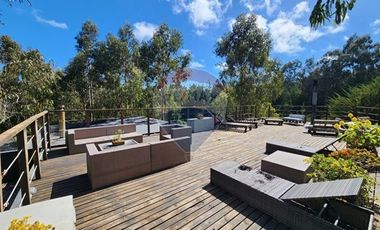 Hotel Lodge/Punta de Lobos!
