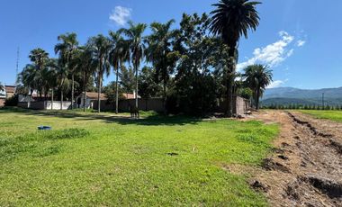 RE/MAX NOA II COMERCIALIZA CASONA EL REMATE -8595M