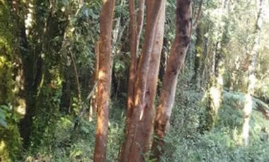 SE VENDEN HERMOSAS PARCELAS EN PARQUE LOS VOLCANES, ENSENADA