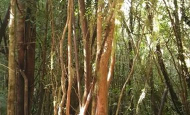 SE VENDEN HERMOSAS PARCELAS EN PARQUE LOS VOLCANES, ENSENADA