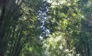 SE VENDEN HERMOSAS PARCELAS EN PARQUE LOS VOLCANES, ENSENADA