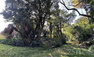 Casa colonial en venta 7 ambientes en Olivos