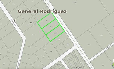 INVERTI EN LOTE CERCADO IDEAL EMPRENDIMIENTO I9230.59m2 General Rodríguez