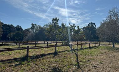 INVERTI EN LOTE CERCADO IDEAL EMPRENDIMIENTO I9230.59m2 General Rodríguez