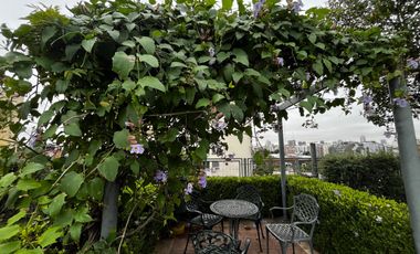 Oportunidad en La Algodonera: Monoambiente con Balcón Terraza y Full Amenities