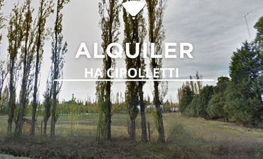 ALQUILER HA IDEAL EMPRESAS