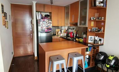 Departamento en Arriendo en Metro P. Valdivia/Padre Mariano/ 1 ESTACIONAMIENTO