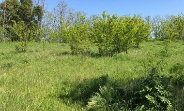 Parcela en Venta en Melocura, San Javier de Loncomilla