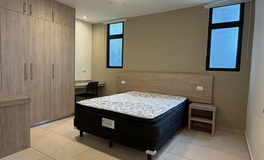Departamento amueblado 2 recámaras en renta en Mérida