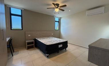 Departamento amueblado de 1 recámara en renta en Mérida