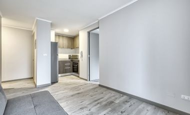 Vicuña Urban [1322-1]