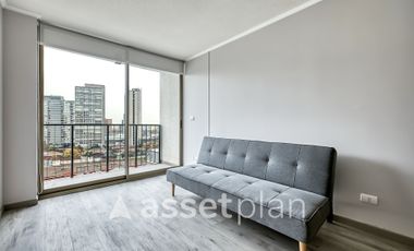 Vicuña Urban [1322-1]