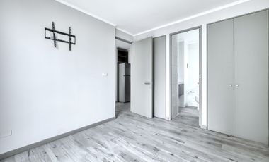 Vicuña Urban [1322-1]