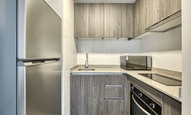 Vicuña Urban [1322-1]