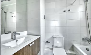 Vicuña Urban [1322-1]