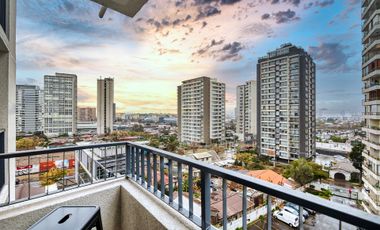 Vicuña Urban [1322-1]