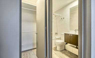 Vicuña Urban [1322-1]